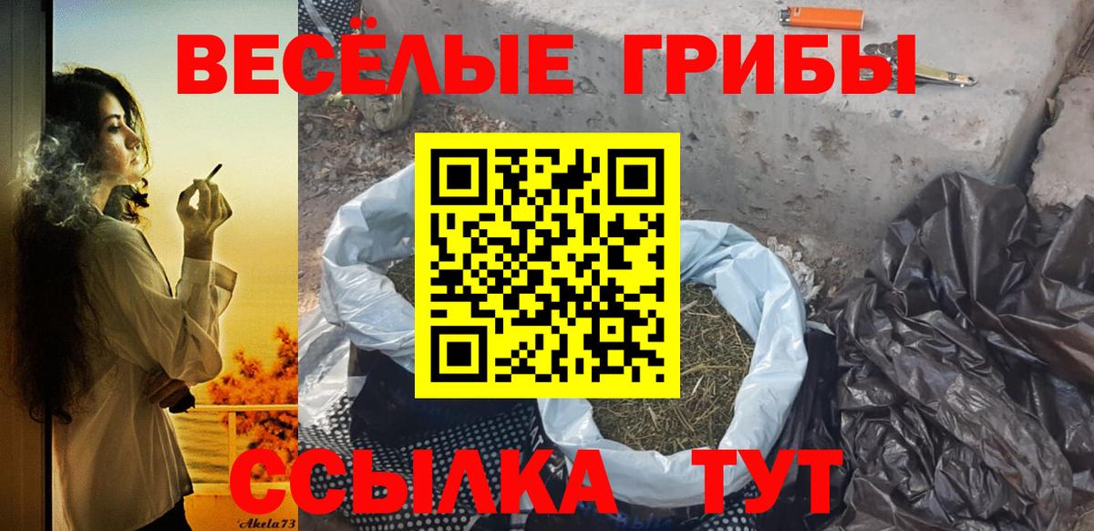 Псилоцибиновые грибы Psilocybine cubensis  Вход с VPN  Жигулёвск  Псилоцибиновые грибы Magic Shrooms 